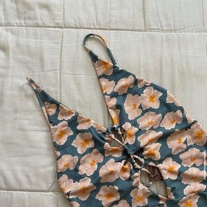 acacia ‘mahalo 21’ kokomo